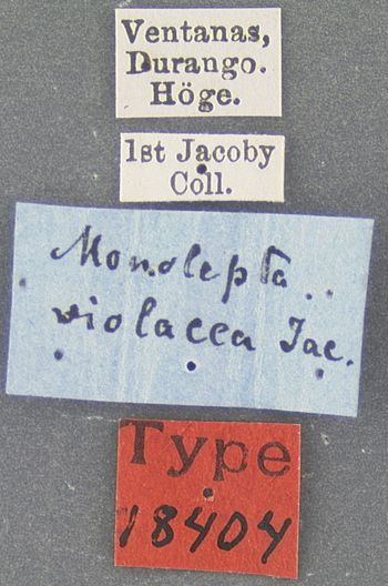 Media type: image;   Entomology 18404 Aspect: labels